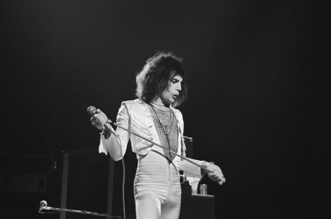freddie_mercury's tweet photo. "The reason we’re successful, darling? My overall charisma, of course." 🎤 https://t.co/093eqyiRBh