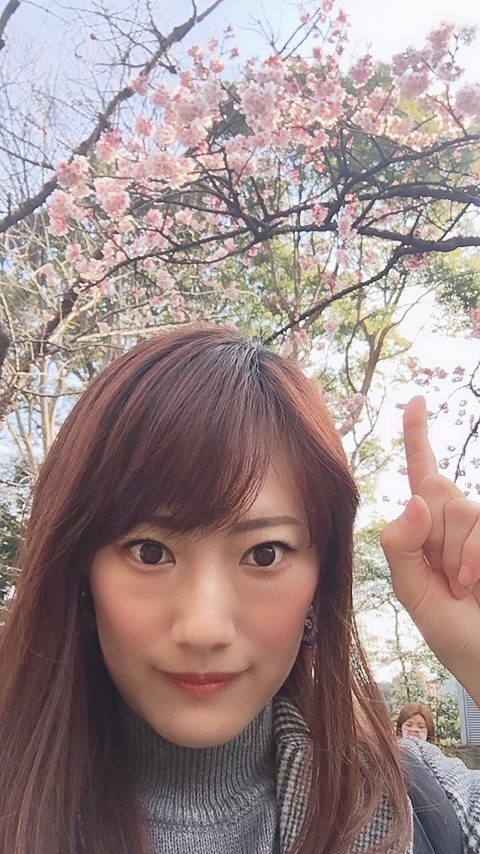 macaronyukoeru's tweet photo. Hemos encontrado cerezos que se llama Kanzakura!! Este florece más o menos en esta época!! https://t.co/fvOK1UF4Ff