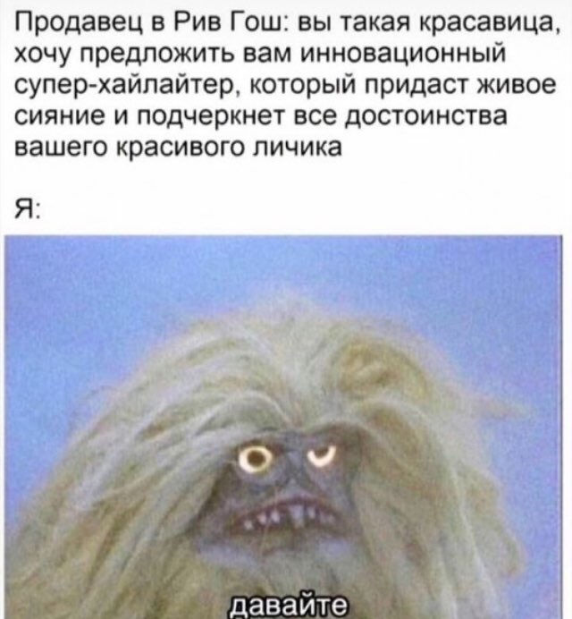 Dz213NrXcAARZNi?format=jpg&name=900x900