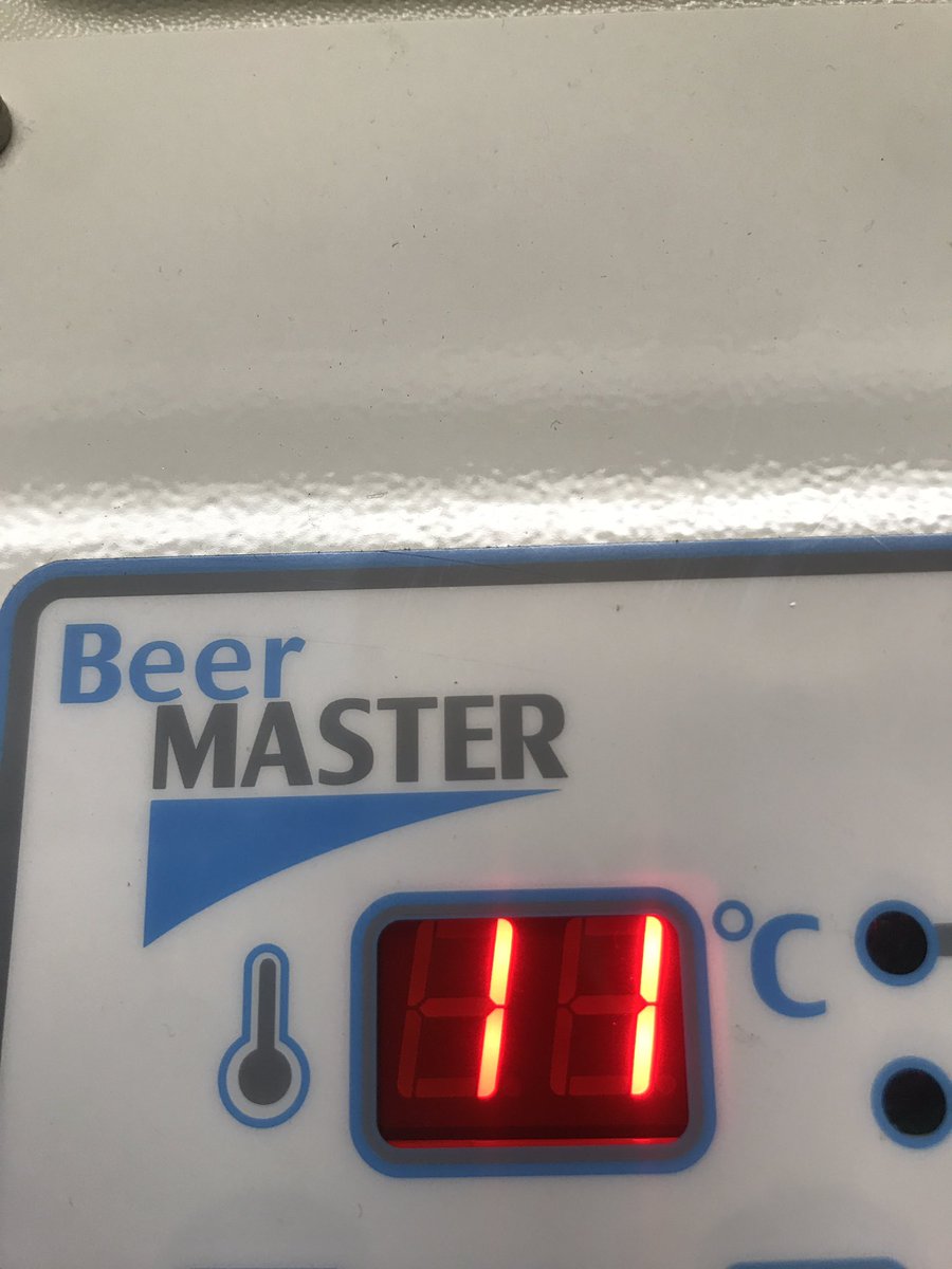 Just call me “beer master” babe