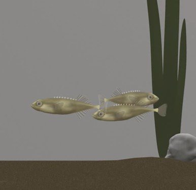 mikemwebster's tweet photo. New paper, public-info use by foraging fish: species differences in learning, social cues involved in info transmission, effects of ontogenetic experience (or lack thereof). 
https://t.co/WqKWGHXDh5
@LThuly @MikeDShapiro @SchoolofBiology @RSocPublishing https://t.co/ZIYoGKKpRD