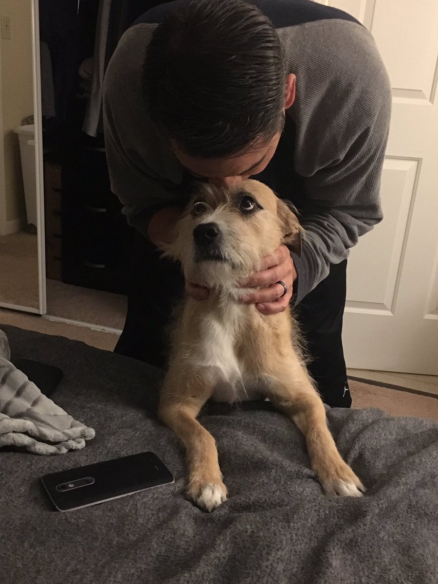 MikeCherryKCRA's tweet photo. Sage: “More kisses?”
Me: “More kisses””...”

#LoveYourPetDay #MeetSage https://t.co/g6R07lNSdK