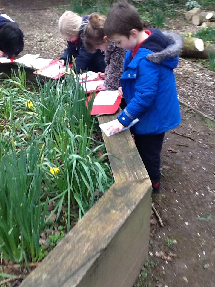 Hendrefoilan's tweet photo. Reception have been on a phonic treasure hunt in Coed Cadno. Can you find a picture of something starting with..... #hdfpRec #hdfpphonics https://t.co/6Bdd2YS8Ig