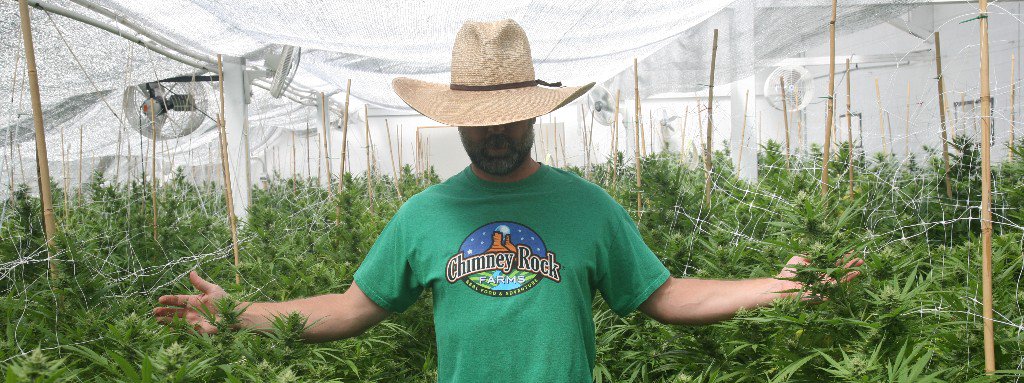 richbecks's tweet photo. 2019 Chimney Rock Hemp Seed Catalog is Here! - https://t.co/8WzISeNFzH https://t.co/I5FMBnT566