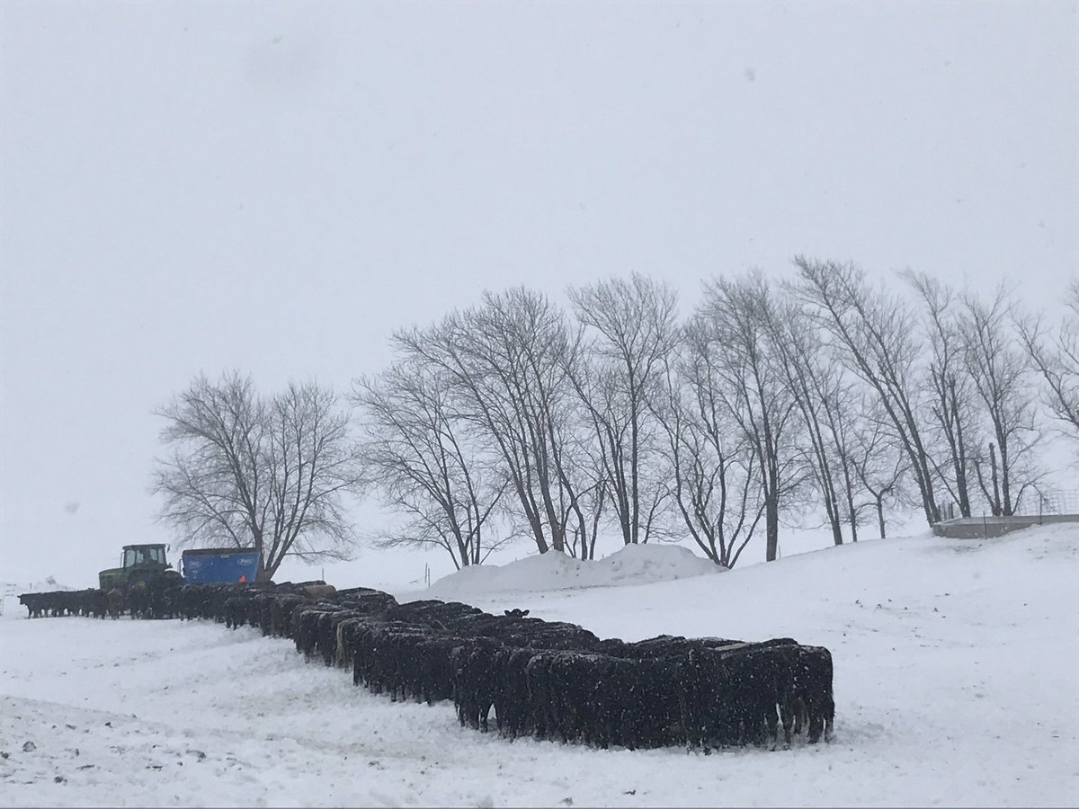 KStien's tweet image. It is a privilege to serve those who tirelessly and passionately work in ALL conditions to feed and fuel the world. Don’t forget to thank a farmer today for providing affordable and safe food while we enjoy all the luxuries of warm meals &amp;amp; homes! #thankafarmer #recordsnowfall