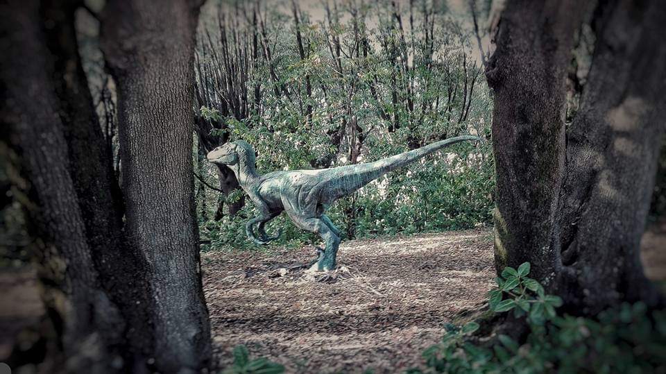 Mariael11812188's tweet photo. My velociraptor in bronze #dinosaurs #MariaelenaMariotti #dinosaurs #myart #specialeffects #praticaleffects #arte #handmade #handpaint #working #bronzo #bronze #dinosaurs #paleoartist #paleoart #jurassicpark #dinosaur #project #jurassicworld #jurassicart #italy https://t.co/KJgGbC8A5X