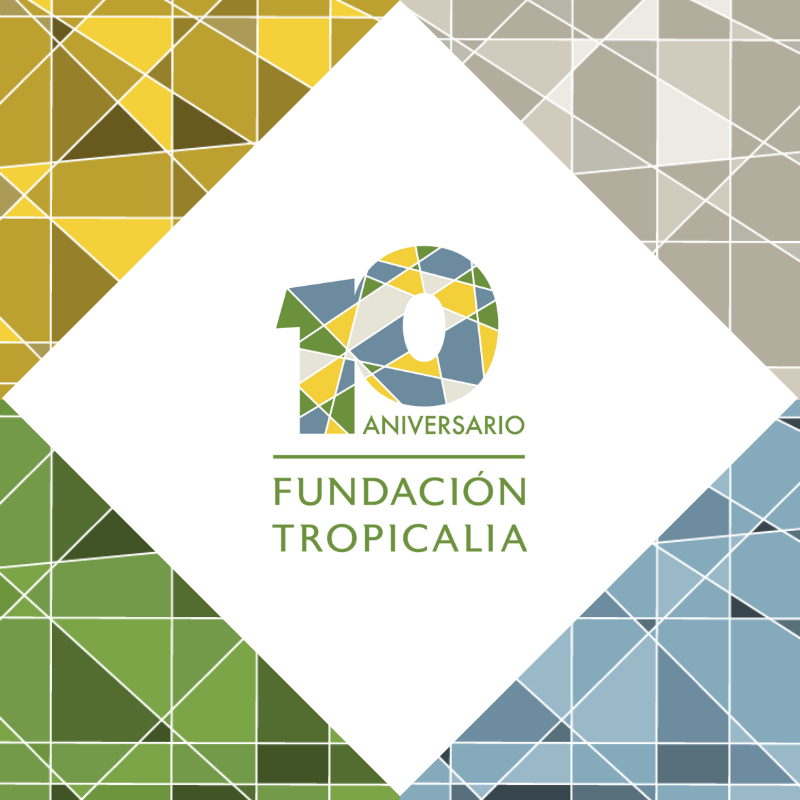 TropicaliaRD's tweet photo. .@FundTropicalia is celebrating its 10th anniversary, promoting the socioeconomic and environmental development of Miches, positioning the community as a sustainable tourism destination. #FT10anniversary https://t.co/Z7sSgXaIhe