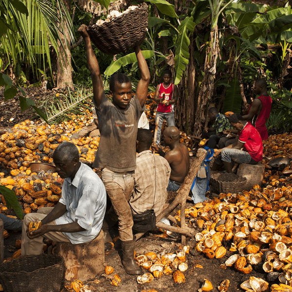 Danielle Coop Pioneer Birkenhead (PioneerCoop) Twitter