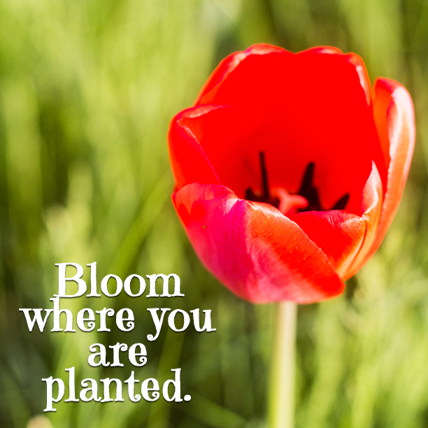 popEFX_'s tweet image. #freeforpersonaluse

Enjoy!  

#popefx #photography #freeart #freephotos