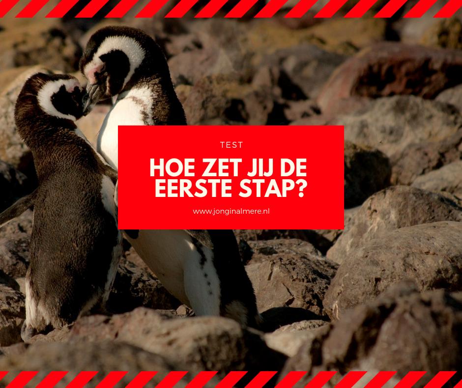 Het is best spannend om meteen op je crush af te stappen, maar niets doen wil je ook niet. Hoe laat jij aan hem/haar merken dat je hem/haar leuk vindt?  jonginalmere.nl/t.asp?c=VYIcQG