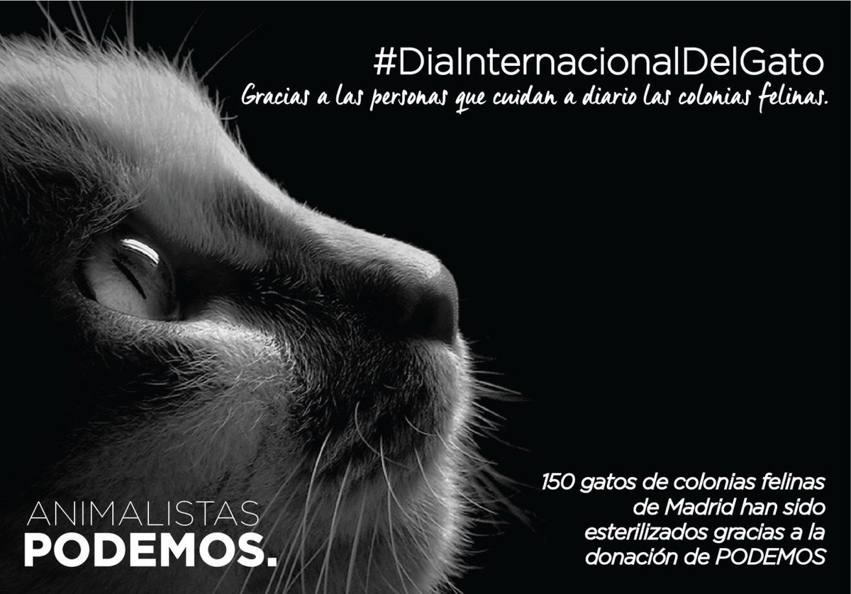 PAEstatal's tweet photo. #FelizMiércoles #DiaInternacionalDelGato 🐈
Gracias a la donación de 6.205€ realizada por @podemosmad se ha conseguido esterilizar de momento a 150 gatos y gatas 🐱 de la ciudad de Madrid 😻😺 https://t.co/fa3zOcn1d2