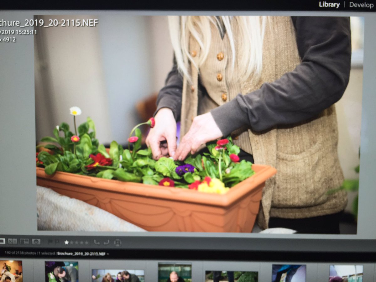 TobyVPhoto's tweet photo. Now editing #horticulture pics. And listening to #PonyBoy by #terminalcheesecake https://t.co/0HVKW4Z8lv https://t.co/JznYn8wSRL