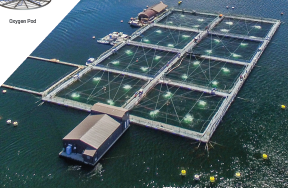 Our first featured product for 2019 is the Pentair Sea Pen Oxygenation System #SPA #Pentair # <a href="/VAKIsystems/">VAKI.is</a> . This flexible oxygen management platform provides a pod-based approach to control compressed oxygen and balance it across sea pens. Read more: bit.ly/2GYLEi0