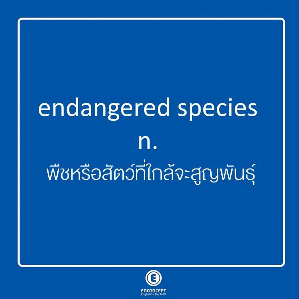 Kru P'Nan Enconcept tweet media