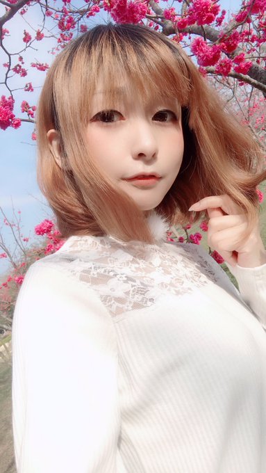 コスプレイヤーモモのTwitter画像15