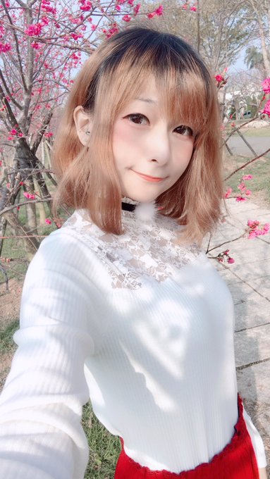 コスプレイヤーモモのTwitter画像13