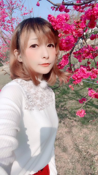 コスプレイヤーモモのTwitter画像14