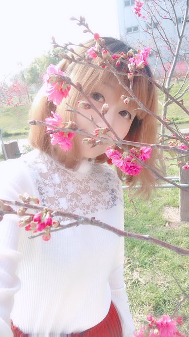 コスプレイヤーモモのTwitter画像16