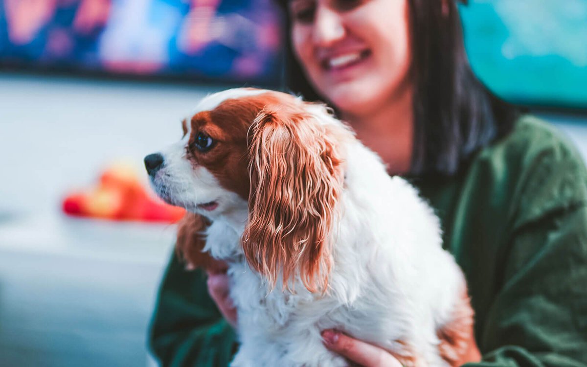 twentytwo_uk's tweet photo. It's #LoveYourPetDay every day in our office! Do you have any animal companions in your office? 🐶😺 #WednesdayMotivation https://t.co/tfz8wLrliU