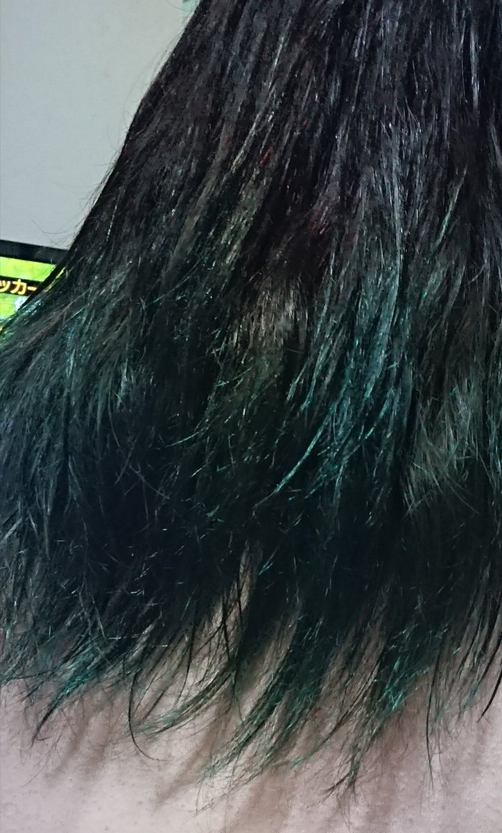 霧果 セシア در توییتر 22日から仕事開始 なので髪染め遊びは終了 W ｼｮﾎﾞｰﾝ 3ヶ月前に染めた緑 上黒で毛先 緑に染めたのに 何故か黒が茶色になる髪 笑 赤と違って色味は変わるけど緑は長い期間色着いてたなぁ なかなか面白い髪色だったけど 残念 黒髪