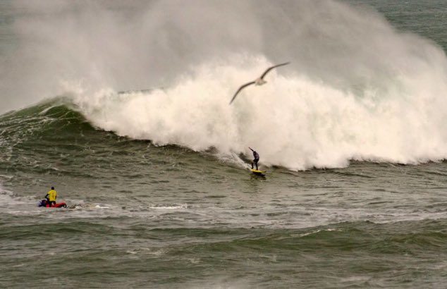 📸| Reportaje fotográfico de la #VacaGigante por Juanjo Cisneros ¡👌🏽! 

Lo que no pudiste ver y NO TE PUEDES PERDER ¡🤙🏽👁! 

lavacagigante.es/reportaje-foto…