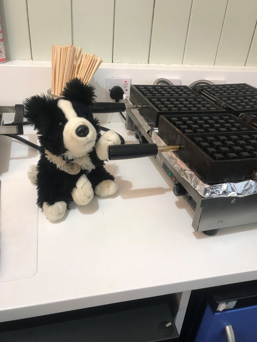 Can you help me find my family? I've been looking for them but sadly haven't found them yet. My nametag says Jess so hopefully that'll help track my owner down.

I have kept myself busy by learning how to make some delicious waffles while I searched the Treaterie... #losttoy
