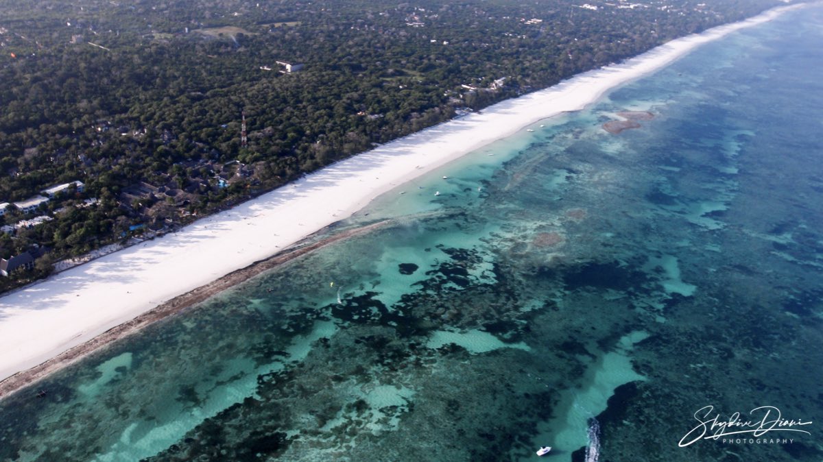 Come and enjoy the view with us!!! #skydivediani #skydive #diani