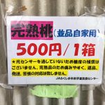 福島が危険!？夏の完熟桃が５００円!