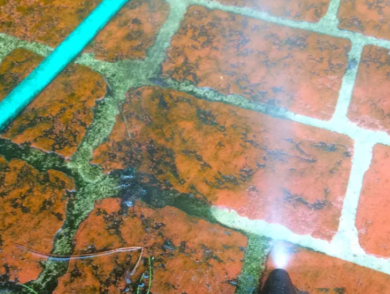 NCoConcrete's tweet photo. How to Remove Moss, Mold, and Mildew From Patios and Outdoor Surfaces? "The method we suggest uses natural, super-versatile ingredients you probably have at home, like vinegar and Borax."(https://t.co/b8Qo7ekN7q) https://t.co/2pn2tpqI3c
