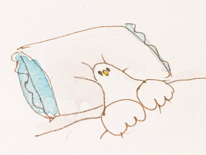 「枕」のTwitter画像/イラスト(古い順｜RT&Fav:50)｜5ページ目