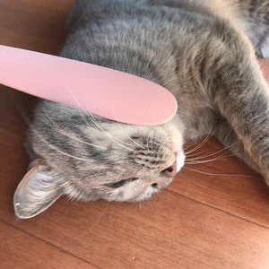 ねこじゃすりという神アイテムを使うと猫がうっとりするらしい！
