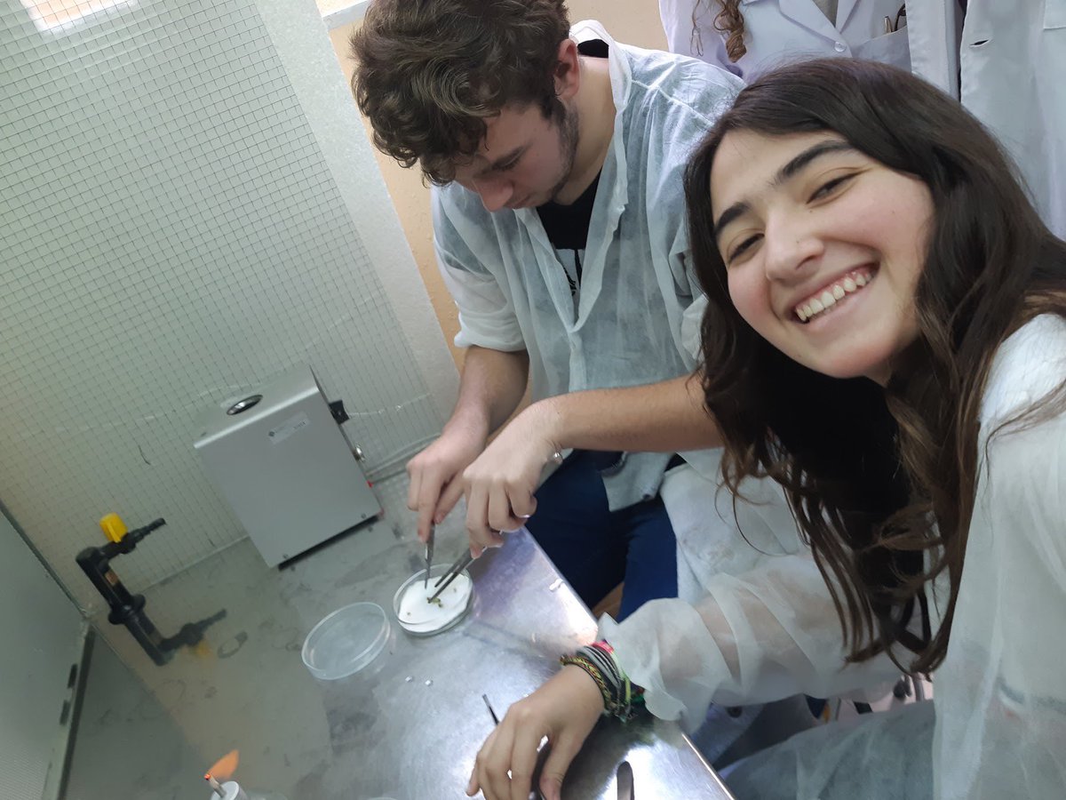 SJO_CC's tweet photo. Aprenem amb la pràctica a #DemoTec, a la @UIBuniversitat. Ens feim científics i observam els estomes de diferents fulles mitjançant microscopis òptics i la plantació in vitro de tiges de menta i fulles de l'olivera. #científicsperundia 👩🔬🦠🔬👨🏿🔬 https://t.co/di3B3Ukobn