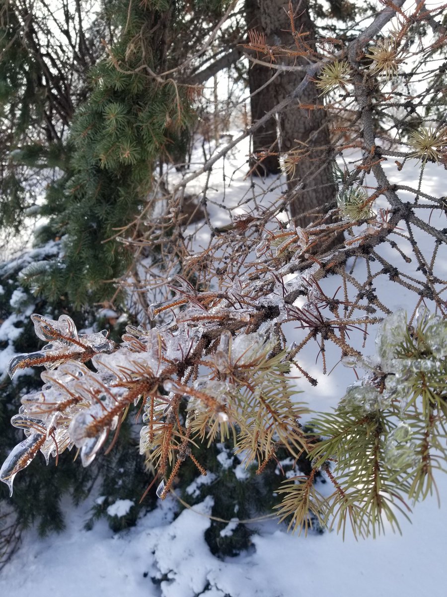 MadihaPanni's tweet photo. Beauty of Nature... SubhanAllah! #freezingrain #winter2019 #canada https://t.co/yzeww8G3Ro
