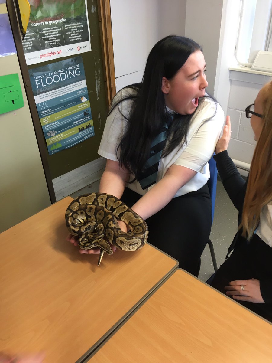 Today in class we were joined by cockroaches, tarantulas, scorpions, turtles and snakes. 🕷🐍🦂 An exciting end for our S1 pupils rainforest project in Social Studies.