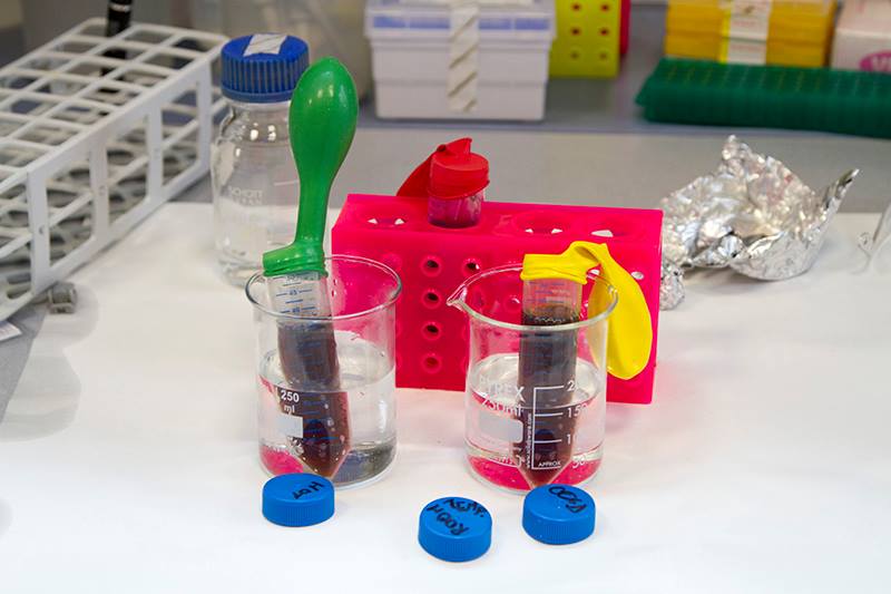 ICS International School Milan tweet media