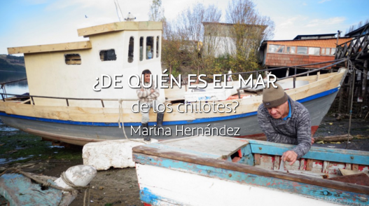 «En mayo de 2016, de forma ilegal, seis salmoneras tiraron salmones tóxicos en los mares del sur chileno. Las costas chilotas aparecieron cubiertas de cadáveres: sardinas, jaibas, robalos, incluso gaviotas y leones marinos» Una Voz de Marina Hernández altairmagazine.com/voces/de-quien…