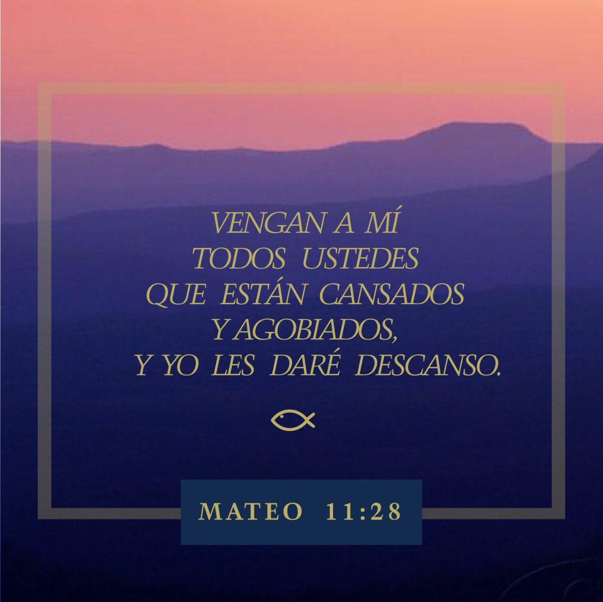 ¡Buenos días! Agradecida con el Señor por un nuevo amanecer. ¡Bendecido miércoles!