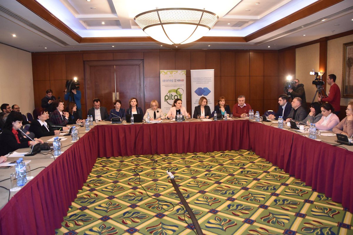 Today, with the support of #USAID’s PITA, State Minister Ketevan Tsikhelashvili and the Deputy State Minister Lia Gigauri presented 2018 report on the Implementation of the State Strategy and Action Plan for Civic Equality and for PDO, CNM, and Inter-agency Commission of the SCEI