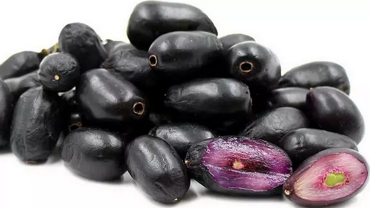 WebduniaTamil's tweet photo. #Java_Plum #Naaval_pazham #Health #Jamun_Fruit நாவல் பழத்தை எந்த முறையில் சாப்பிட்டால் நோய்களுக்கு குணம் கிடைக்கும்...?
https://t.co/ffTmTr0aMs https://t.co/dV0sKu9LOy