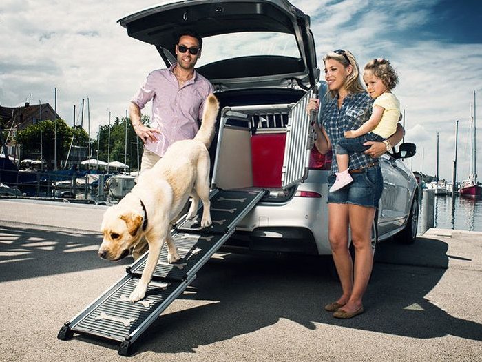 TheRampPeople's tweet photo. 🐶 It's national Love Your Pet day! Pamper and protect your pooch with our pet ramps. ❤️ Shop them here > https://t.co/WL5gwuMRb6 #LoveYourPetDay #LYPD #NationalLoveYourPetDay #PamperedPooch https://t.co/ur979SFBXq