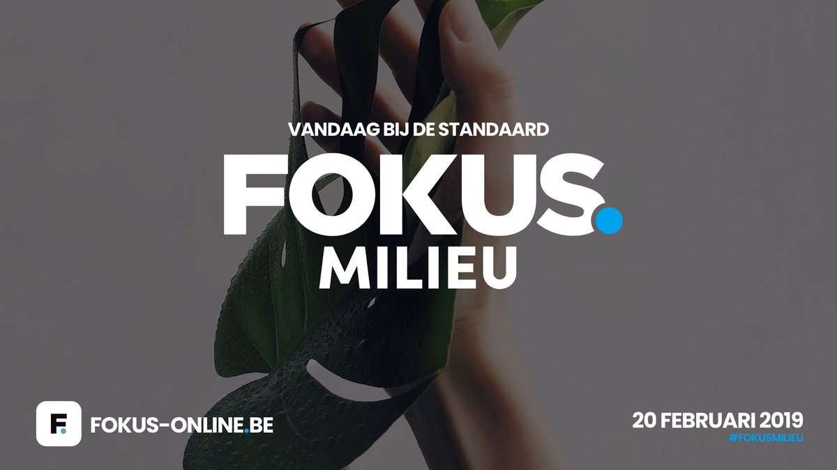 fokusonlinebe's tweet image. Vandaag bij @destandaard: Fokus Milieu 🌳. Met een full spread-interview van Paul De Bruycker en bijdrages van: @PersAtOVAM en Hans Bruyninckx over de nood aan een circulaire economie. Zéér interessant leesvoer! Te verkrijgen in print of simpelweg hier: bit.ly/2TZ5FHi