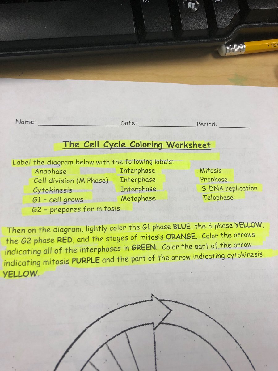 DCoachAllison's tweet photo. When you tell your kids to highlight only the important stuff. Lol ok well scratch that.. The next notes will be teacher guided.😂🤦🏾‍♂️ https://t.co/qqu4zdCPpQ