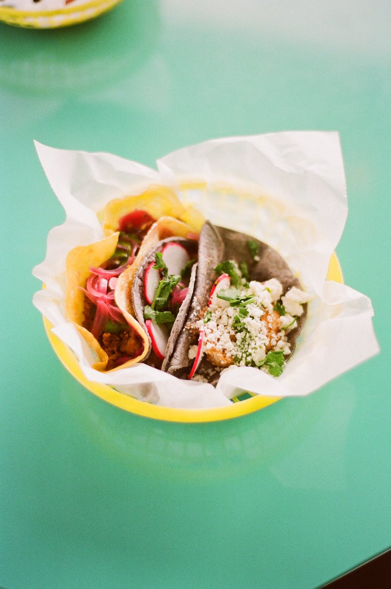 Fox loves Taco. tweet media