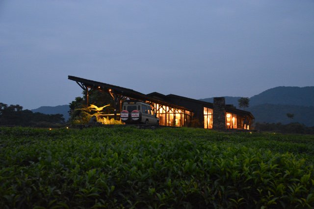 NiyingizeRemy's tweet photo. #Rwandans are the only ones to tell the stories of their country #Rwanda!
For the tea lovers, u can visit the huge #Rwanda's Gisakura Tea Plantation. One of the best things that really wows!
#RwandaIsBeautiful #VisitRwanda #TellingRwandaStories https://t.co/oHQQMuxluS