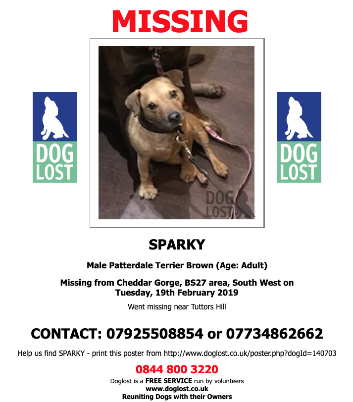 DogLostUK's tweet photo. https://t.co/jt1sXwNKjV
#LOST #DOG SPARKY
Male #Patterdale #Terrier
#CheddarGorge #BS27
Tuesday, 19th February 2019 #LostDog #ScanMe https://t.co/x1IewvtSEm @VetsGetScanning @SAMPAuk_ @CheddarGorge_ #Loveyourpetday #NationalLoveYourPetDay https://t.co/KLzke8c8l4