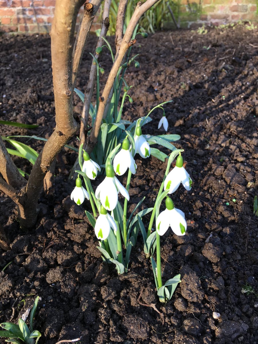 CallyKevin's tweet photo. 3rd March, 2pm - Join Kevin Hughes for a one off tour of the amazing and exotic plant collection at Cally. Kevin, who has only been the custodian since May 2018, says that the tour will also feature the changes that he has made already at Cally Gardens. https://t.co/27piox3JvG https://t.co/BIbu95heJg