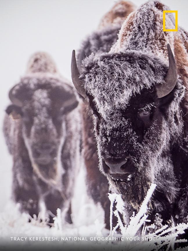 ADDI MERRICK (@AddiMerrick) | Twitter