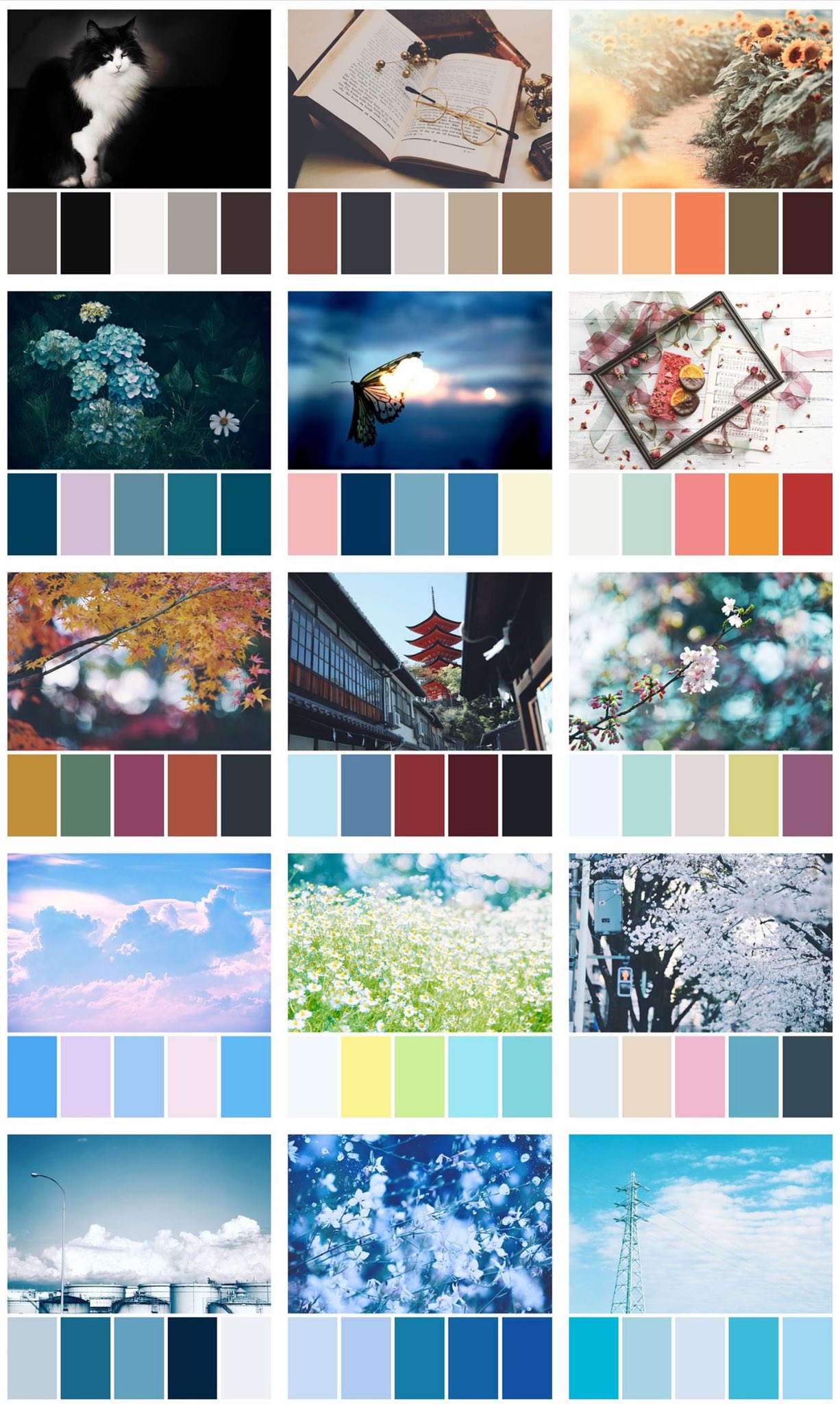 Neo Himeism در توییتر 写真から抽出したカラーパレット付きの画像をインスタに投稿してみました カラーコードは誤記を懸念して書いてないのですが 使えそうでしたら何かの配色に使ってくださいｍｍ T Co 7rsurh1nug