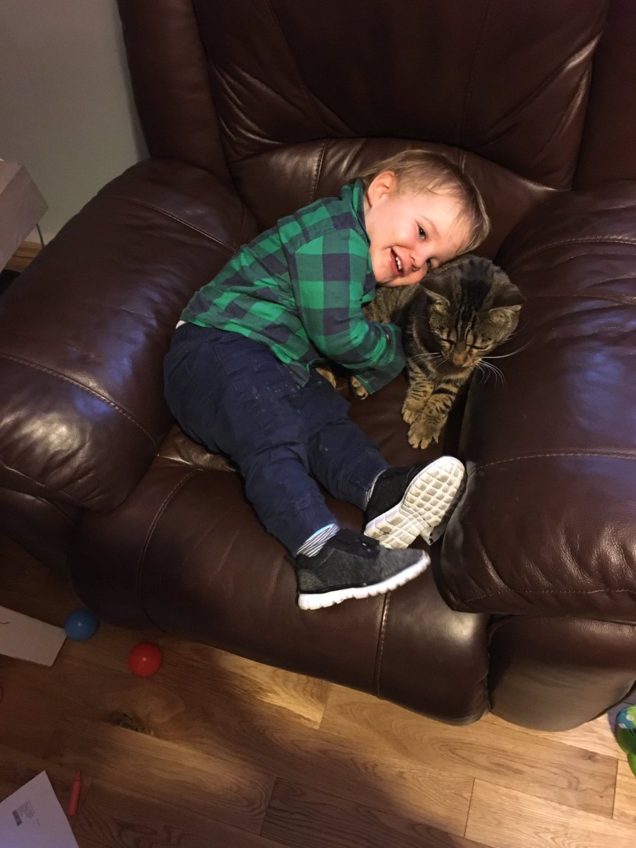 HannahVOsman's tweet photo. Happy #LoveYourPet day. This little man certainly loves his pets. πΆπ±Enid and Oscar are very patient with him and I love that they are his first best friends! #babyandpets https://t.co/NiiYYpY43K