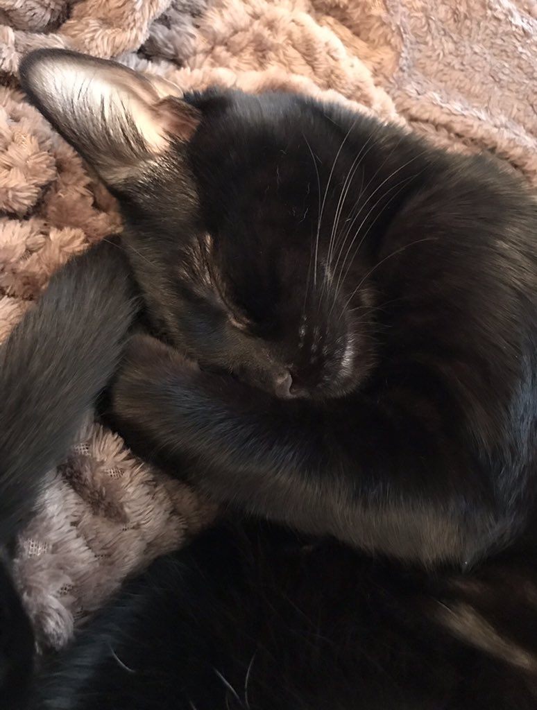 Ellen Ashby tweet media